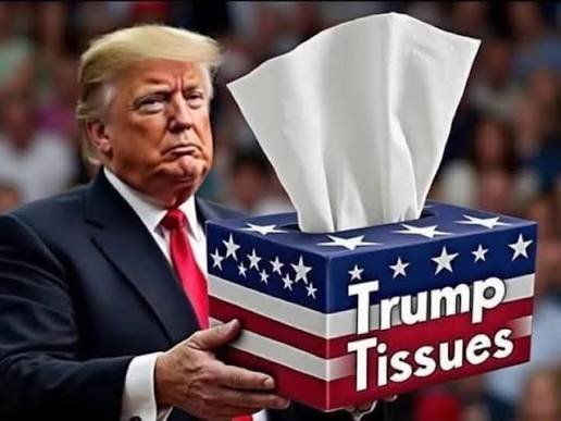 __Kami__Kaze__'s tweet photo. @aubsgingercurry @Sk959527 @realDonaldTrump https://t.co/HfHe9ZpIE9