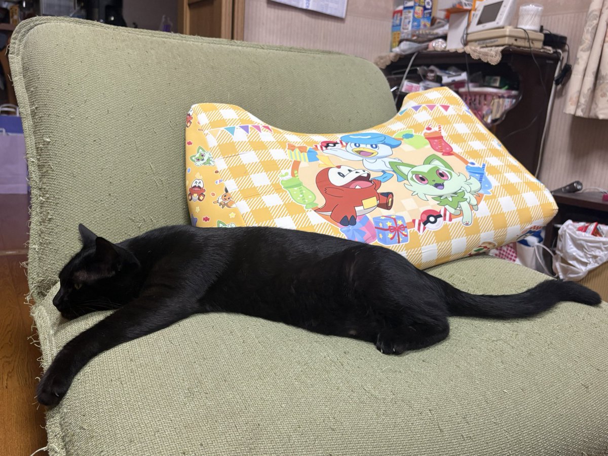 KuronekoChocola's tweet photo. ぺったんこの猫を三方向から https://t.co/Gq357nVxnd