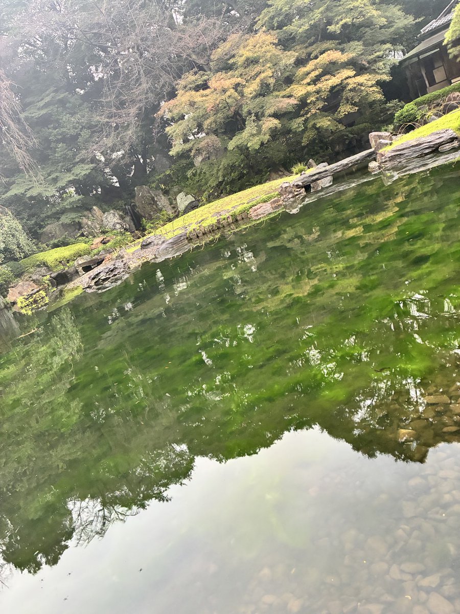 charanra's tweet photo. 涙が出るほど、美しかった。
(祈りに感情します。) https://t.co/NyKN8gLiMn