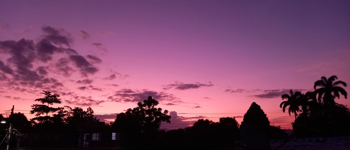 brossamadoz's tweet photo. #19Sep2026

Por el sendero de los halos. ¡Feliz día! 💜 https://t.co/U9loRDDUVF
