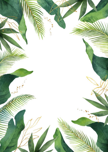 TreasaPdlkr's tweet photo. 知床に広がる苔庭は幻想的な景色を作り出す。 https://t.co/ZYZXBUPsF3