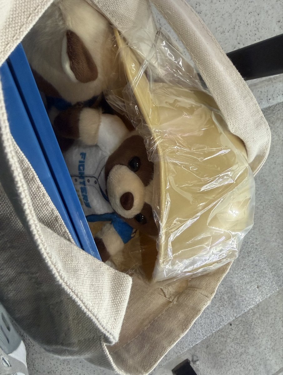 0610f66's tweet photo. たぬき💛
かわいい☺️つれて帰る💛
#lovefighters https://t.co/0PTAI4S9oA