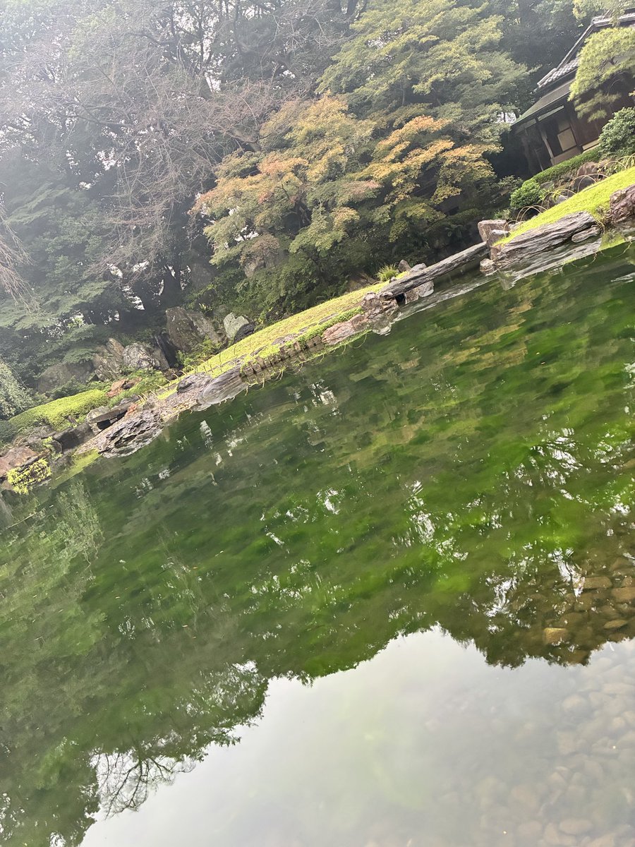 charanra's tweet photo. 『祈りに感謝します』の間違いですね。
(修正はしていません) https://t.co/LxgJ9ObMPD