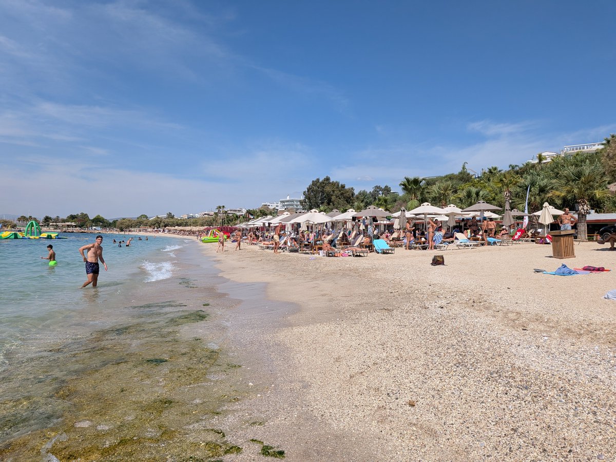 rdparra1's tweet photo. @jasonscheer @MizShelbyK I can confirm podcast works in at the Bolivar Beach Club in  Athens, so no excuse not to listen. https://t.co/JjCNtpZ5EF