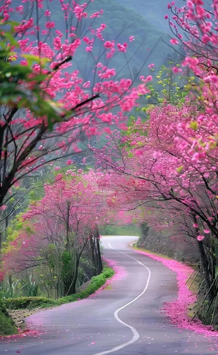 4robertemmat5a's tweet photo. It’s the first day of Spring!  Let’s welcome longer days, blooming flowers, and all the fresh vibes ahead.  #SpringVibes #SeasonNewBeginnings https://t.co/ePZsctHJRD