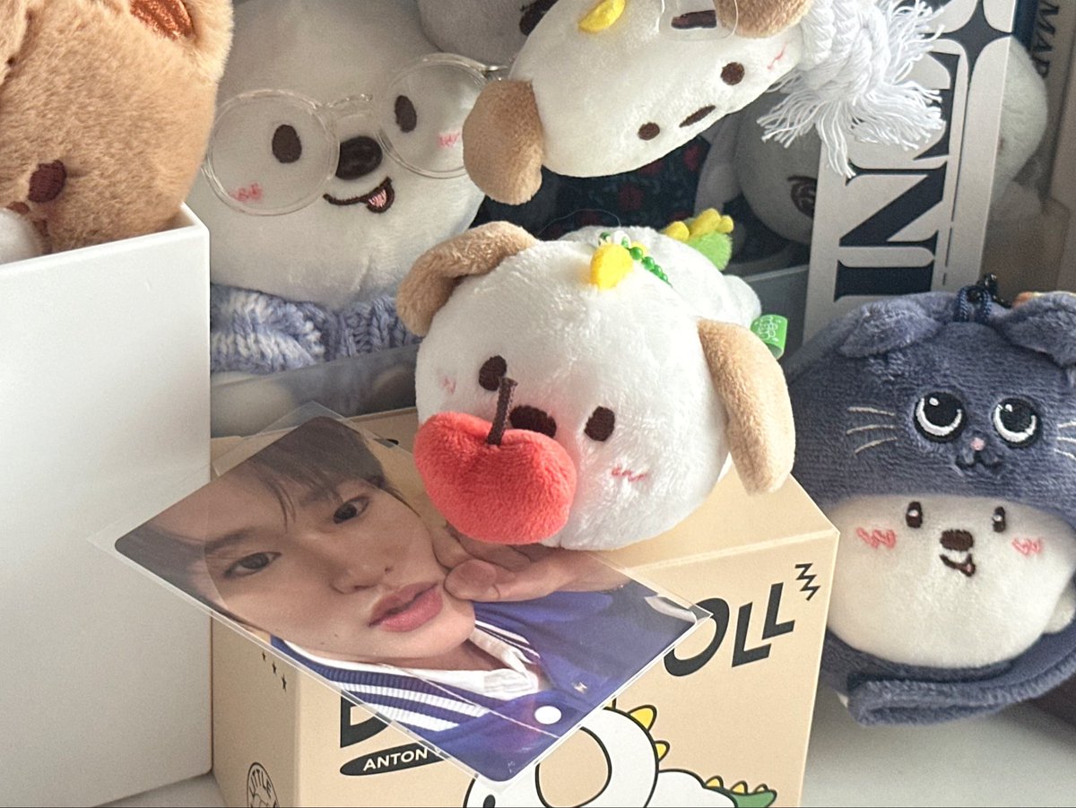 foundsthapr's tweet photo. <33🐶✊🏻⭐️🍎 https://t.co/6Mkz8QtSI5