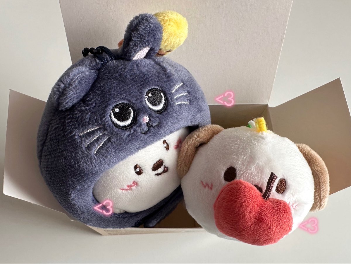 foundsthapr's tweet photo. <33🐶✊🏻⭐️🍎 https://t.co/6Mkz8QtSI5