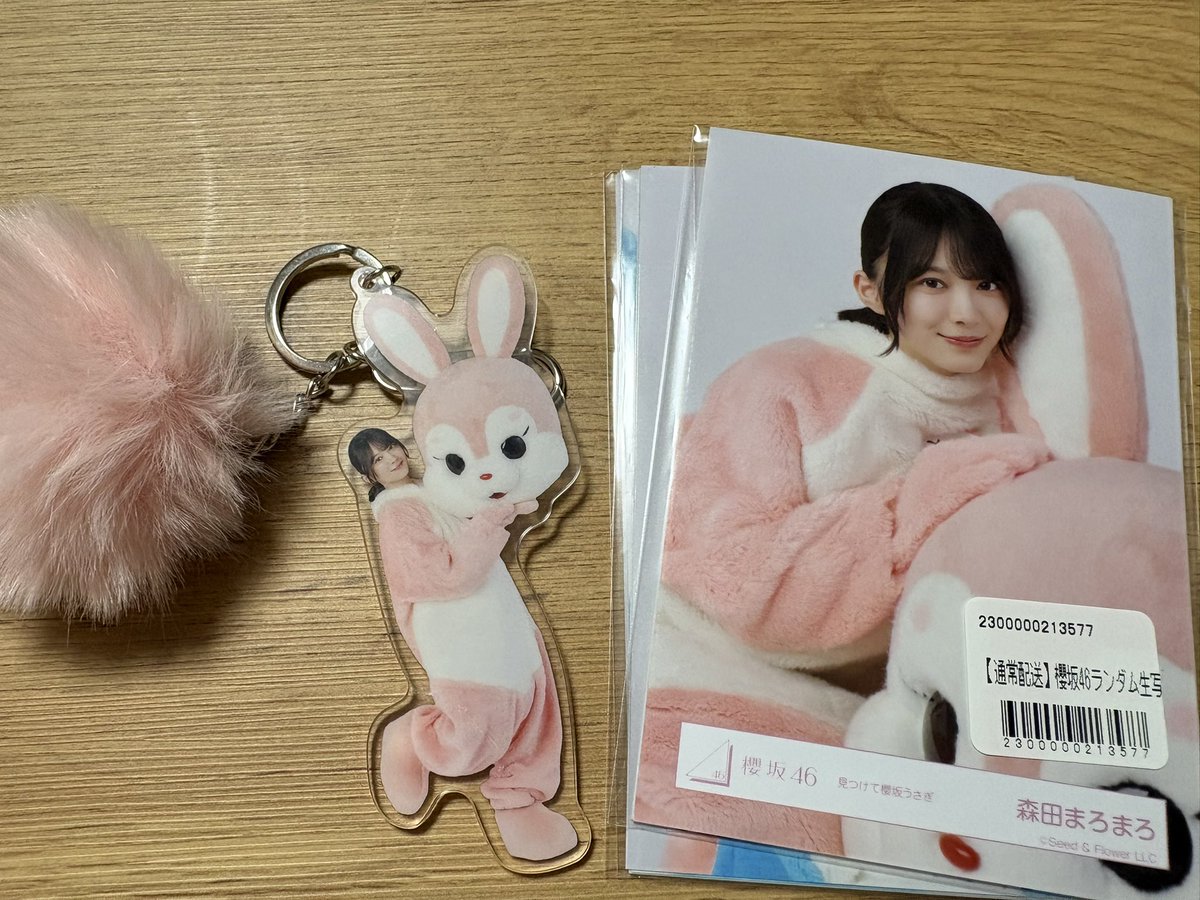 sakura_kyfk's tweet photo. うちにも届いたまろまろさん🐰🫶🏻
寝そべりまろまろが欲しかった… https://t.co/dc5ow7MHOV