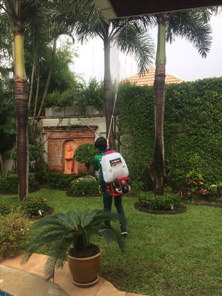 crystalclean4u's tweet photo. Don’t get into the weekend with pests and insects guys!!! We gat you 🔥. https://t.co/QzNtR6E4Rv