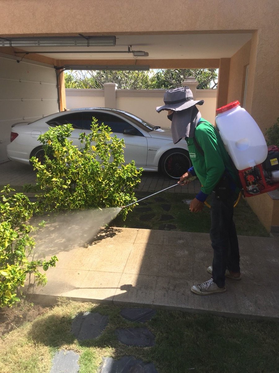 crystalclean4u's tweet photo. Don’t get into the weekend with pests and insects guys!!! We gat you 🔥. https://t.co/QzNtR6E4Rv
