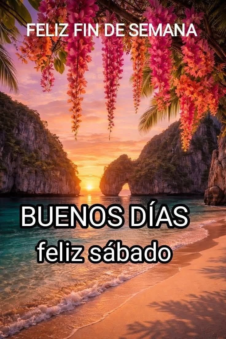 Sandraamparo5's tweet photo. https://t.co/yGnUNDsNJB