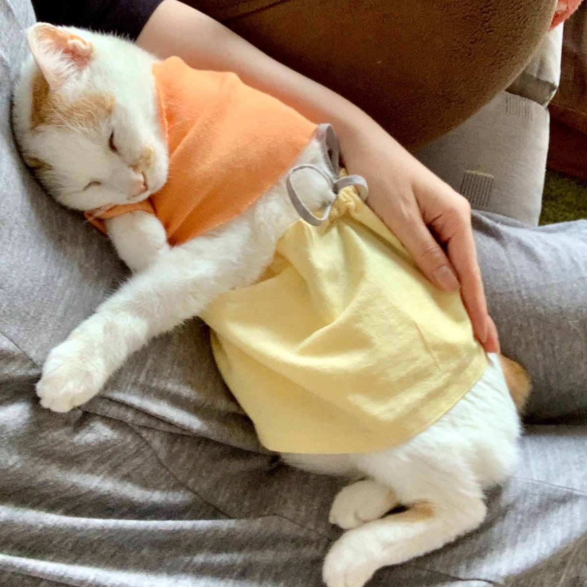 JoneElden's tweet photo. 存在が重なる感覚、伝わる体温の揺らぎに身を委ねていると、時の流れそのものが愛おしく思えてくるね https://t.co/WKozTygyyP