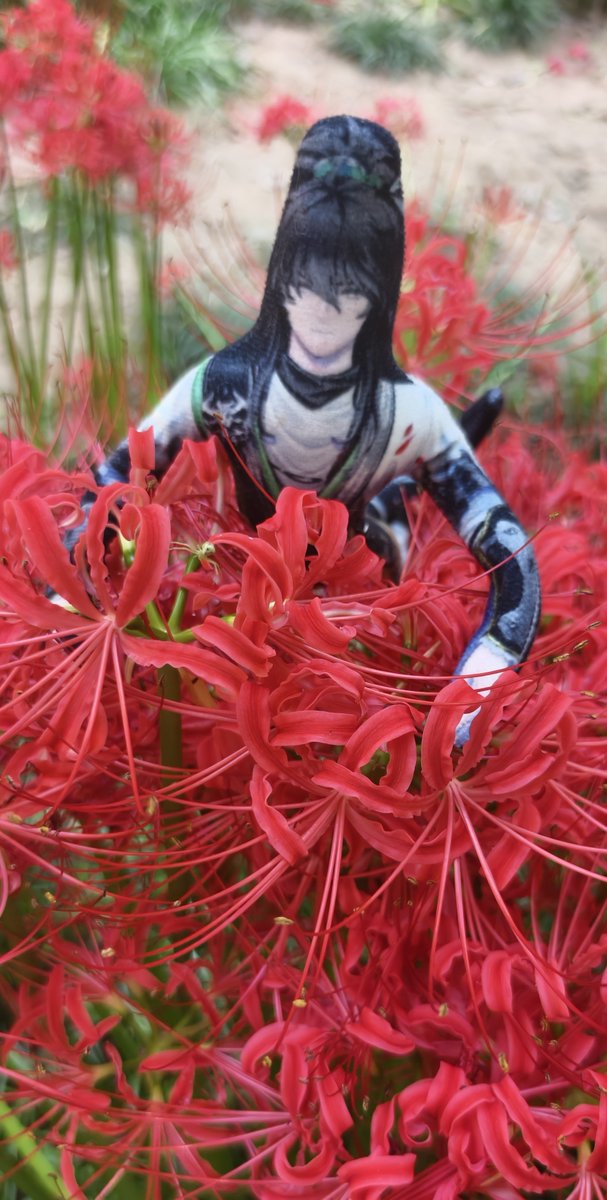 LISNOW2qqk's tweet photo. 仇远远 https://t.co/0dCysYEhdS