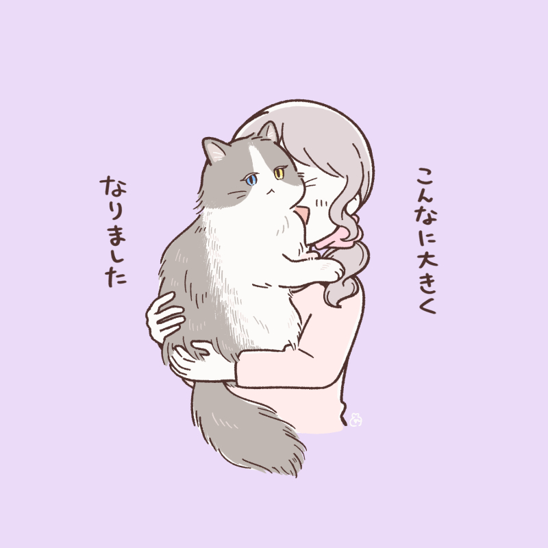 ponchimint's tweet photo. このこねこのそのご https://t.co/2hjjemmXP4