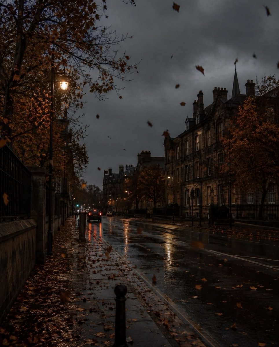 InFiniteH0riZ0n's tweet photo. rainy autumn evening 🌧️🍂 https://t.co/4K6bXJGWTD