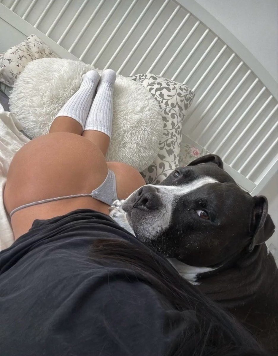 DognottinSusan's tweet photo. The timeline stops here.
The real session continues in private.
Link in bio
The timeline stops here.
The real session continues in private.
Link ⬇️ below 👇 

https://t.co/r48SJIDU8S
#bestiality #zooporn #dogknotting #zoophillia #dogsex https://t.co/Kw7IJ7KdXz