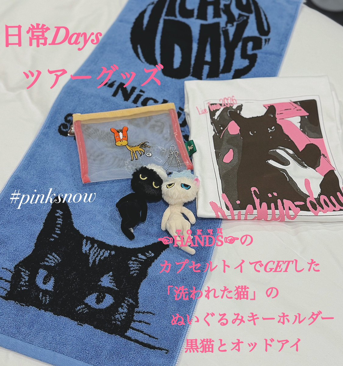 momoiro0403's tweet photo. シニアに優しい
着席時間長めの構成☺️
でも、あの曲では立ち上がりたかったー！！

グッズのフェイスタオルがすごく可愛い💖
このデザインのTシャツ欲しかったな🥺︎
色もこのブルーで👕✨️
勢いでメッシュポーチも買った(笑)

#斉藤和義
#日常Days
#ハンズでGETした猫2匹 https://t.co/zTo36r84Cr