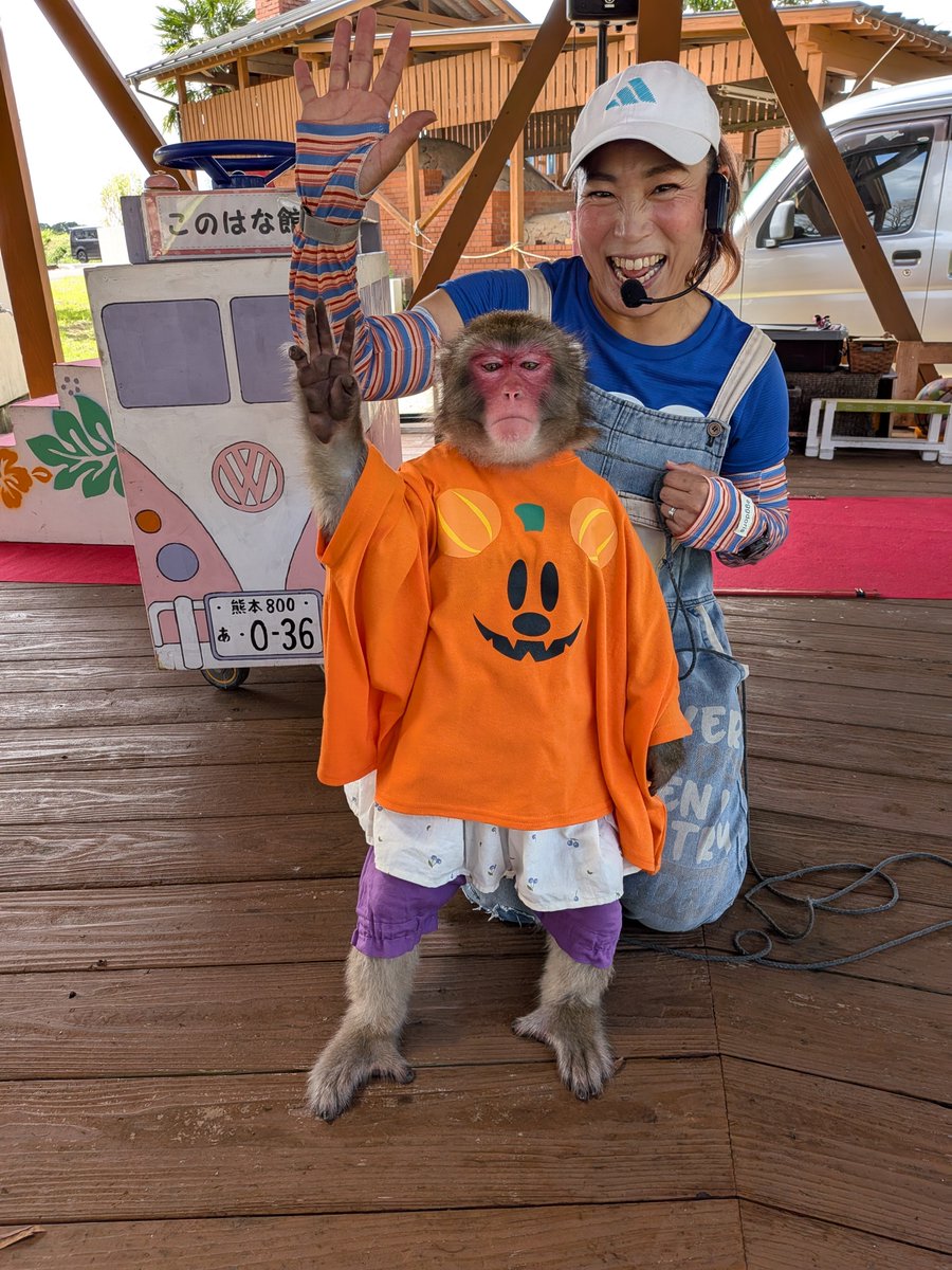 MayKim0115's tweet photo. 今日は西都原にのんちゃんに会いに行ってきました😀
動画を撮ったのですが、上手く撮れなくて残念⋯明日リベンジします✨
今日もハロウィン前なのでハロウィンTシャツ着てもらいました⋯つきみさんありがとうございました😊
#オフィスえんた
#つきみさんのんちゃん
#西都原このはな館 https://t.co/jWuDBhPIvT