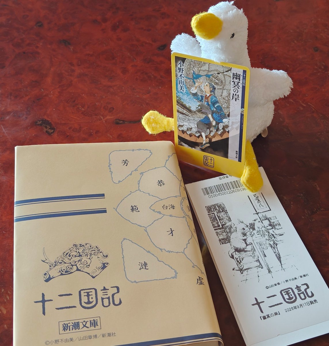 meriko_doll's tweet photo. カバー貰えた嬉しい。田舎の本屋さん万歳😉✨ https://t.co/ikvKP6J1ES