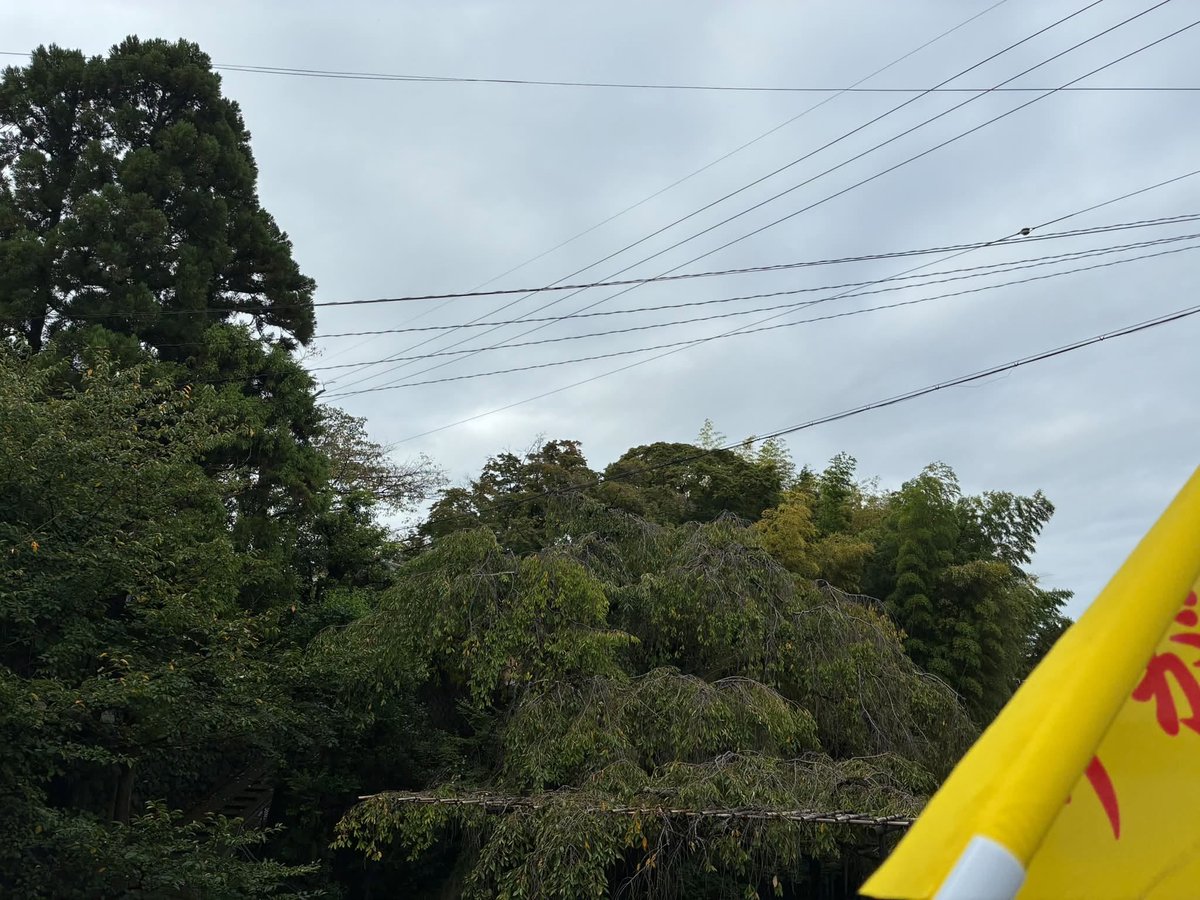 nakanoYo_1 tweet picture