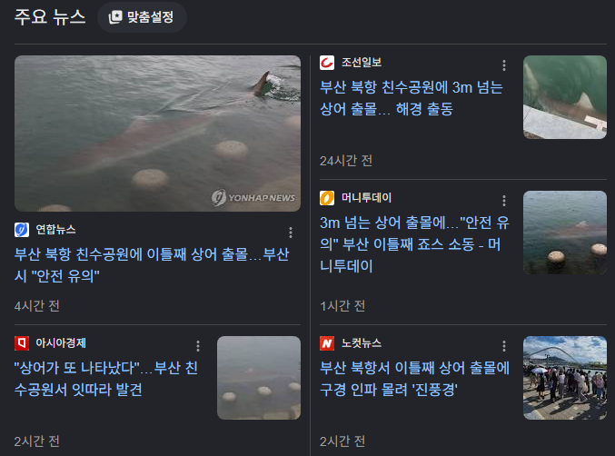 wjdqud12's tweet photo. 상어를 보러 왔는데요 자러갔나 안보임...

산책하기 좋은 날이네요 https://t.co/Q0hZo7rI04