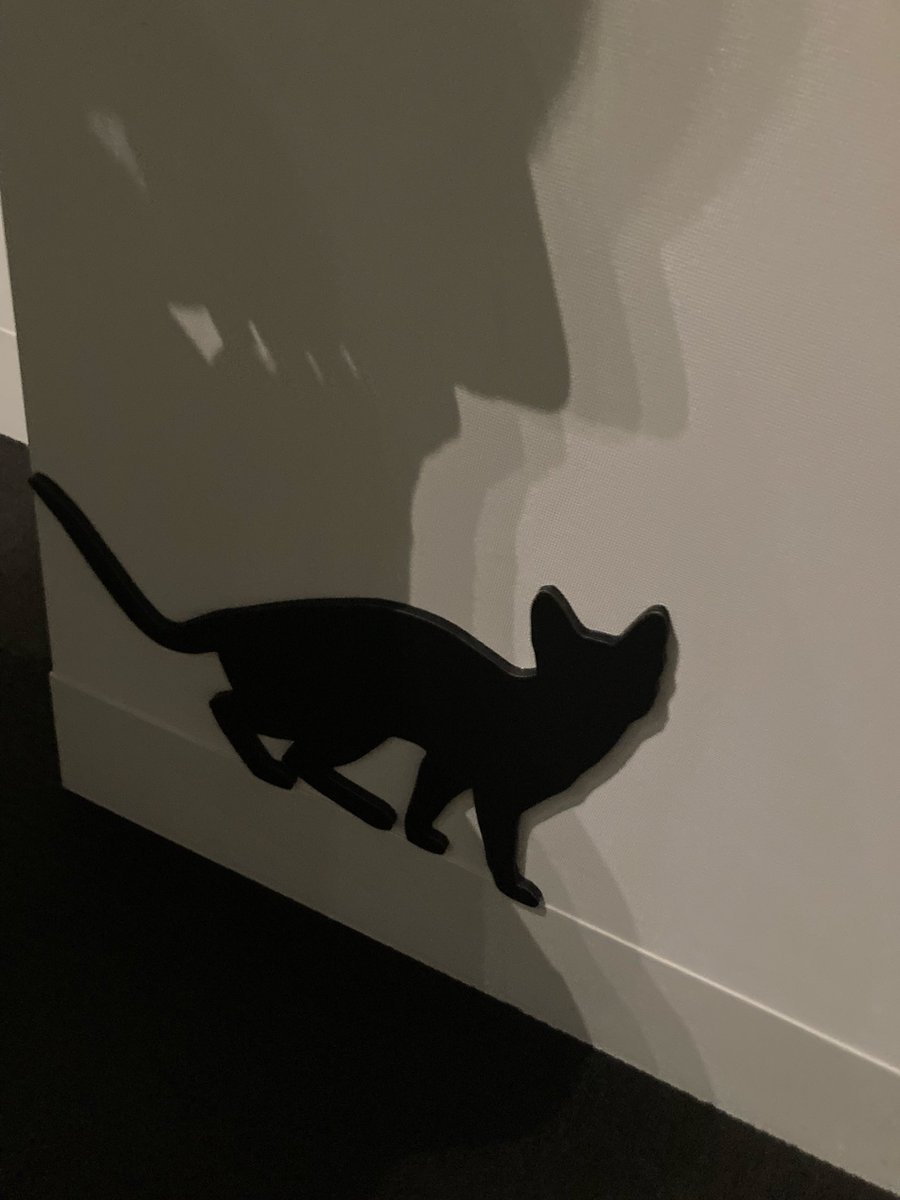 utsugi_0___'s tweet photo. カフェに集う芸術家展いってきたよ〜至るところに猫ちゃんがいてたいへん眼福でした🐈🐾 https://t.co/bE3YJwENPH