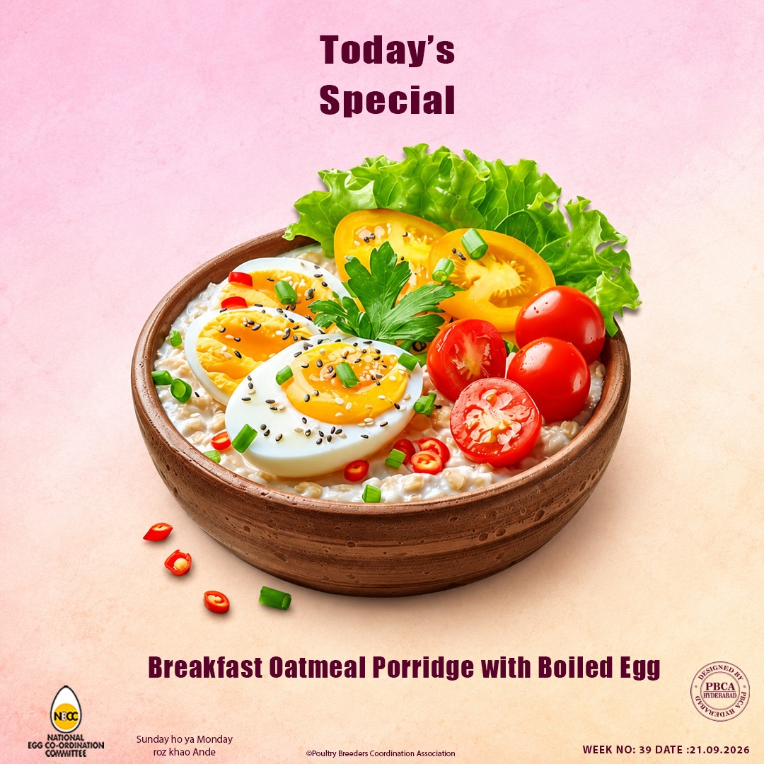 vencobbchicken's tweet photo. #Necc #eggrecipe #breakfastoatmealporridgewithboiledegg #EggRecipe #EggLovers #EggSpecial #ProteinFood #TastyFood #FoodLove #todayspecial https://t.co/oxo0UXJclL