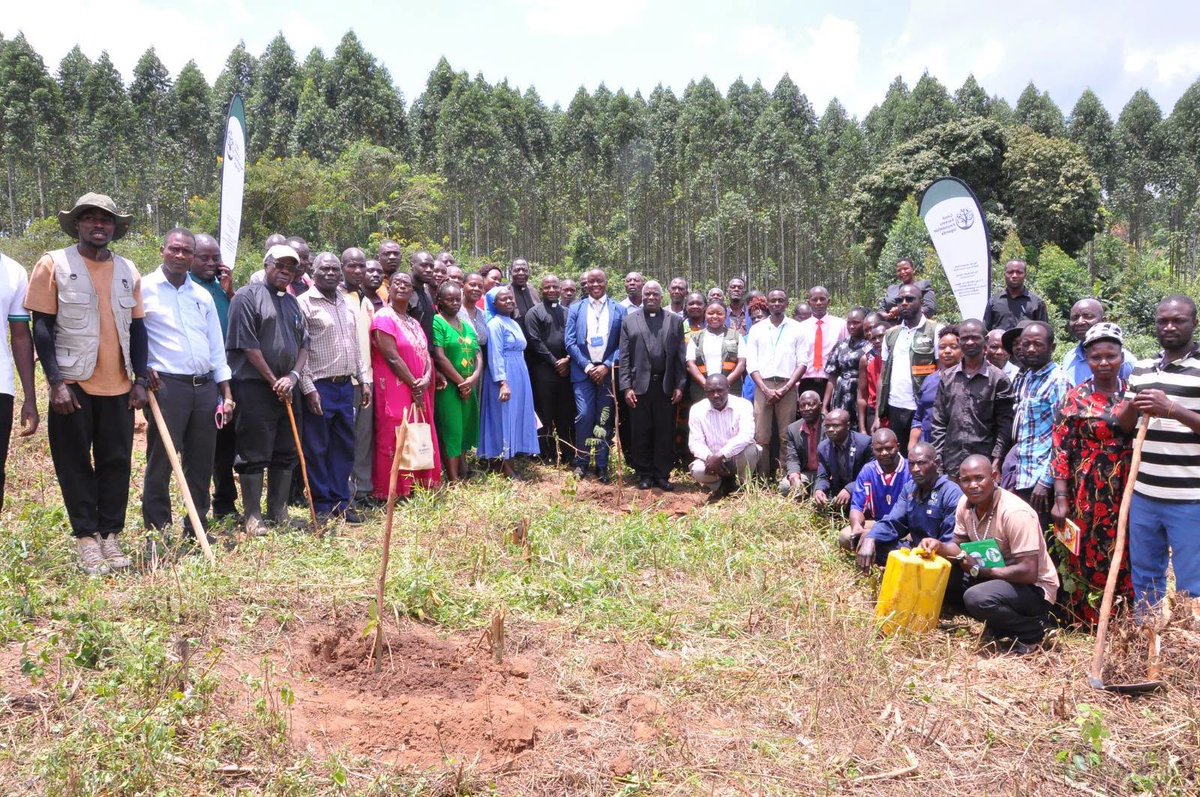 CentenaryBank's tweet photo. Our green footprint is expanding!
Through the #CenteGreenProgramme, we are officially restoring 20 acres of land in Mityana with 8,000 newly planted trees. This marks a massive milestone toward our nationwide environmental goal of planting 100,000 trees across the country.
We are deeply grateful to our partners at the Good Forests Foundation for driving this sustainability initiative forward. A special thanks to Msgr. Micheal Mukasa (Vicar General) and Fr. Denis Kyemwa, who represented the Kiyinda Mityana Diocese at last week's official launch alongside our very own Mityana Branch Manager, Mr. Ian Ddumba. Together, we are rooting for a greener future!