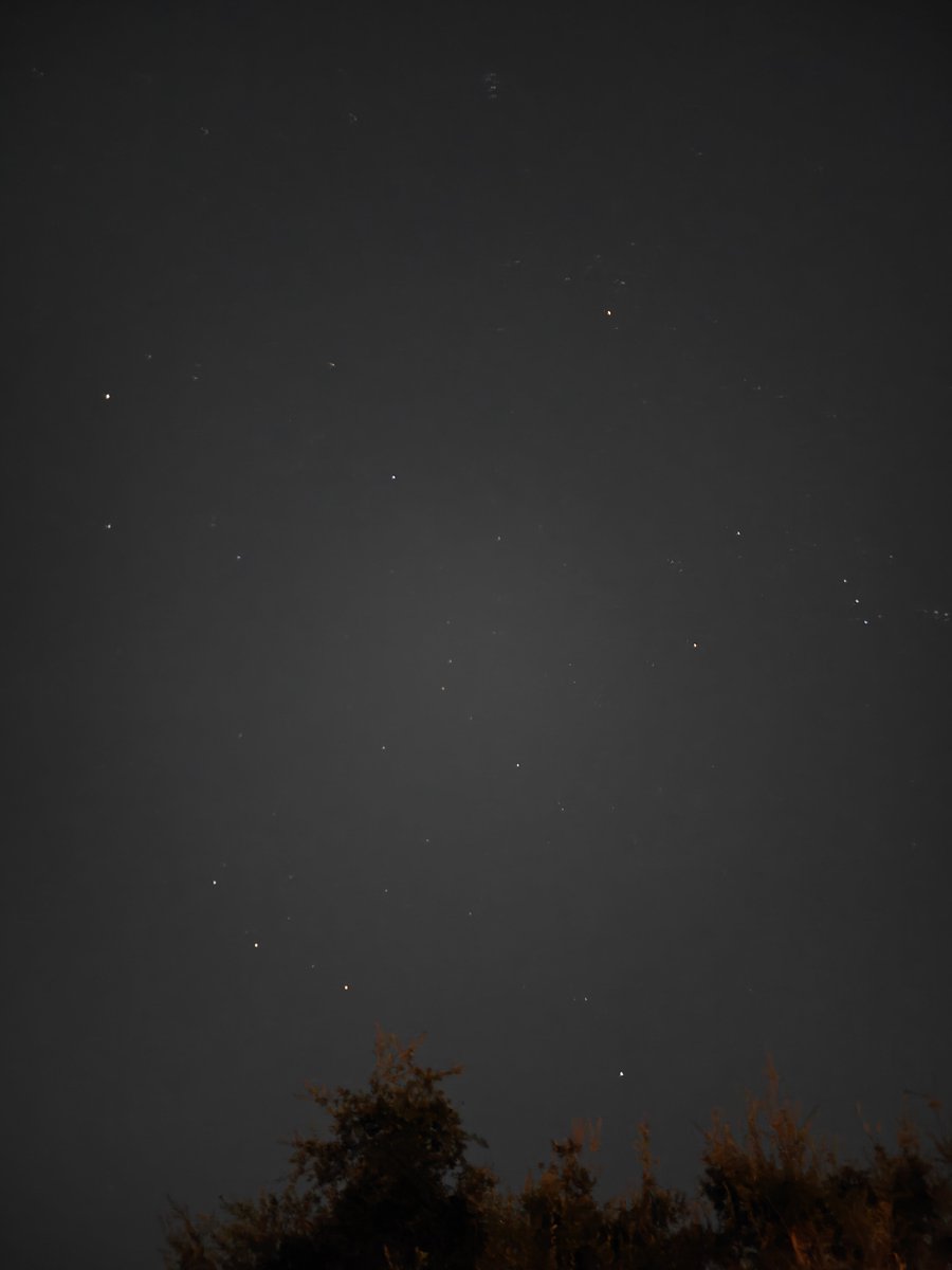 Alejandro_FinT's tweet photo. An extremely rare and beautiful starry Miami morning 

GM ☕ https://t.co/JE7tIETIXv