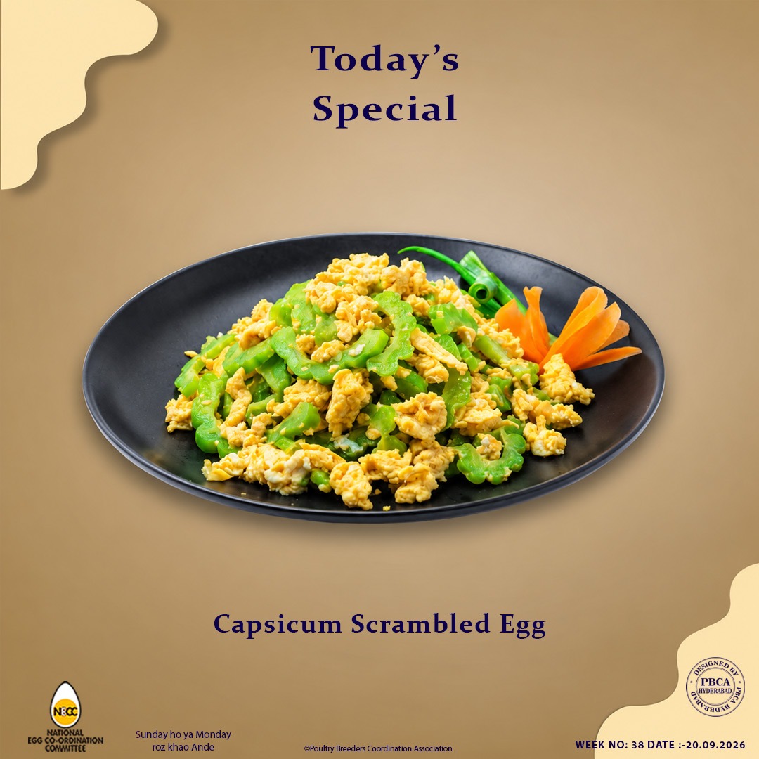 Vencobbfresh's tweet photo. #Necc #eggrecipe #capsicumscrambledegg #EggRecipe #EggLovers #EggSpecial #ProteinFood #TastyFood #FoodLove #todayspecial https://t.co/UhD0YKI9bZ