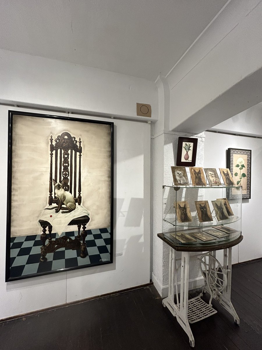Sybariticalice's tweet photo. 銀座奥野ビルGalerie Lãさんで開催中の小澤清人さま個展！

猫ちゃん多めな、そして大作も展示されていて見ごたえいっぱいです✨✨素敵✨✨
なりゆきで清人さまといらしていたこれまた尊敬する作家さまとテーブル囲んで楽しいお話を聞かせていただいたり...贅沢な時間...ありがとうございます😭 https://t.co/9879dupjv9