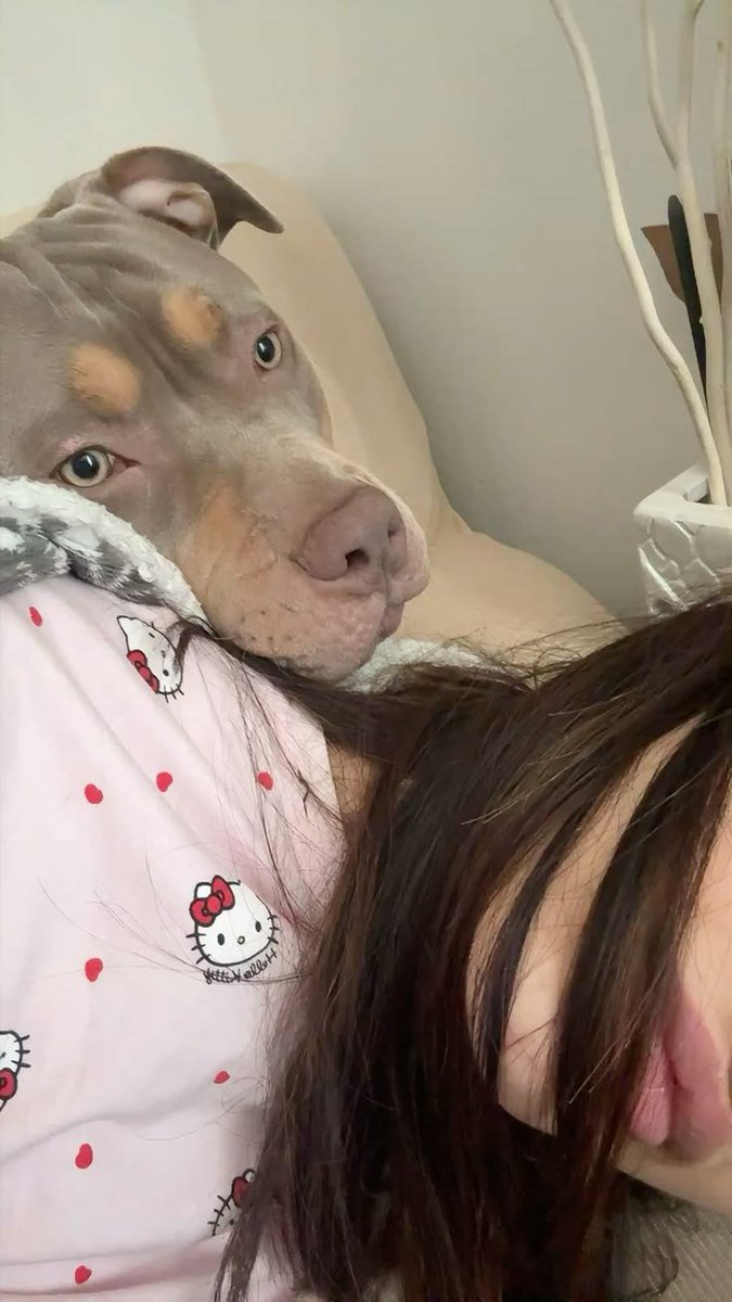NaomiMac26's tweet photo. Premium knotty videos 🐾🐶

#Beastiality #Dogknott #dogknotting #k9 #Taboocontent #Dogknottqueen #zoopride #zoosarevalid #zoophillia #zoophilist

https://t.co/Gp1yKaZHM1 https://t.co/r8NVVdyrnL