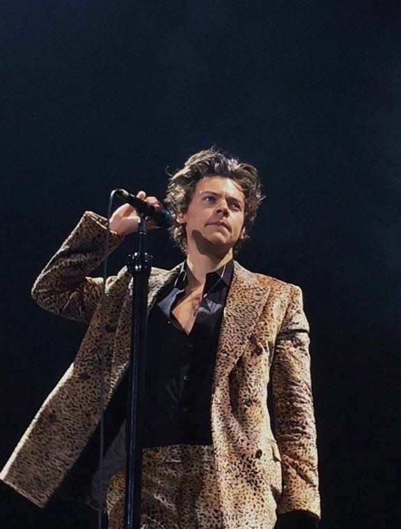 shortsrry67's tweet photo. Outfits harry has worn that live rent free on my head https://t.co/QlhtgynLPh