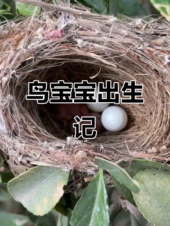 sugax922720's tweet photo. Growth isn’t about being perfect—it’s about choosing to rise every time you stumble. That messy, small progress is the real win. https://t.co/akq7Ir9d7B