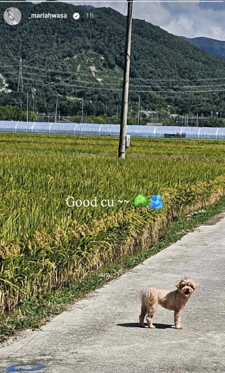 hwasatanas tweet picture