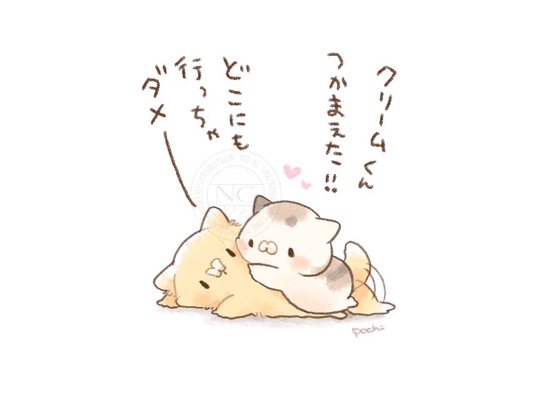 ぽち🐱となりのにゃんこ (@pochi_line) / X