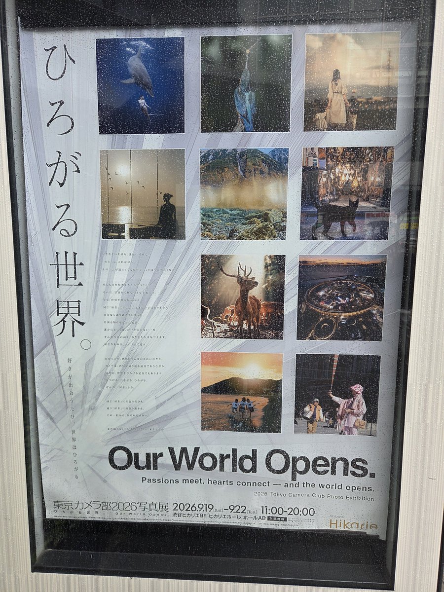 持田栞里