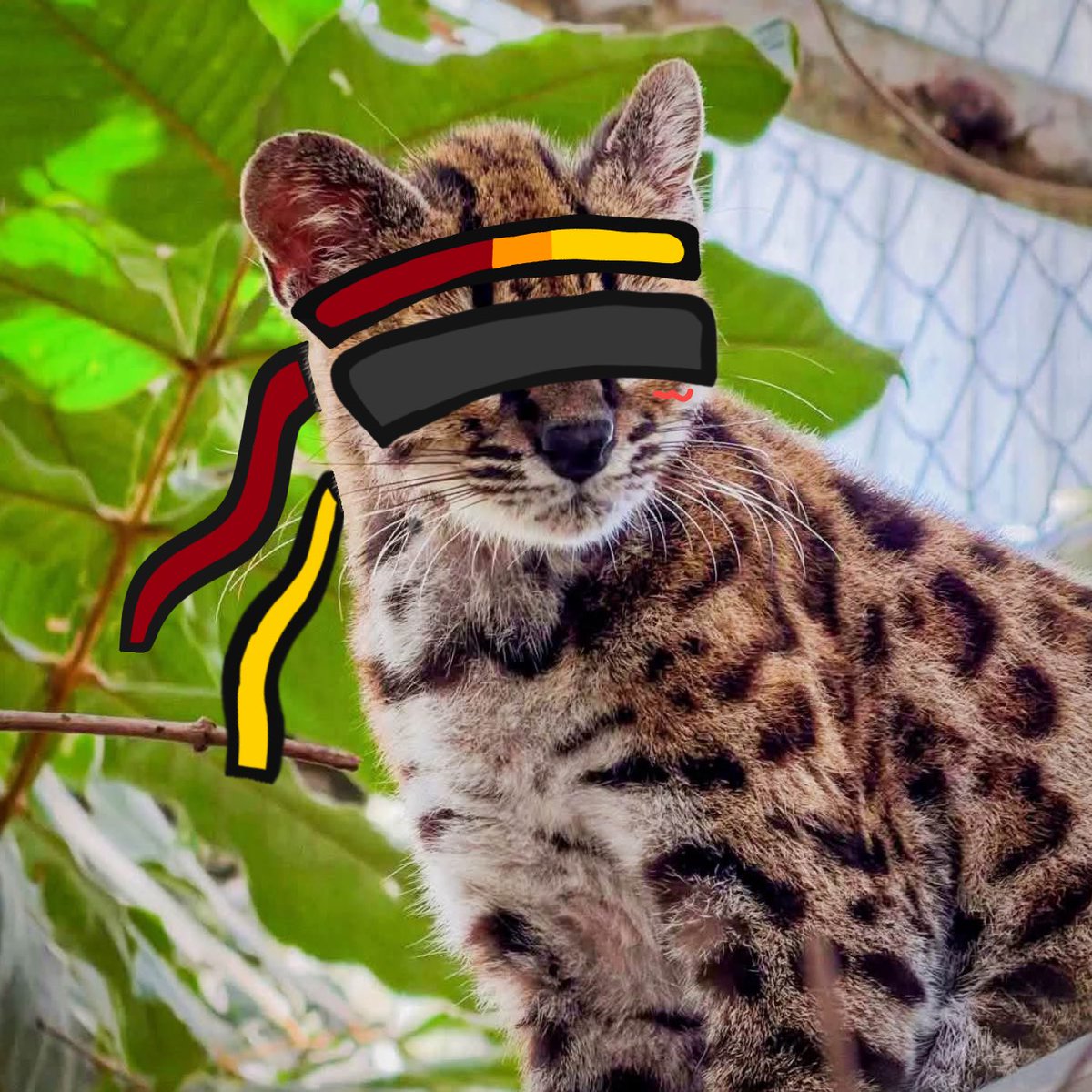 vixlet15's tweet photo. oh wow a new cat just dropped! oh my god its him…

#flamefrags https://t.co/RUVMAmLx9x