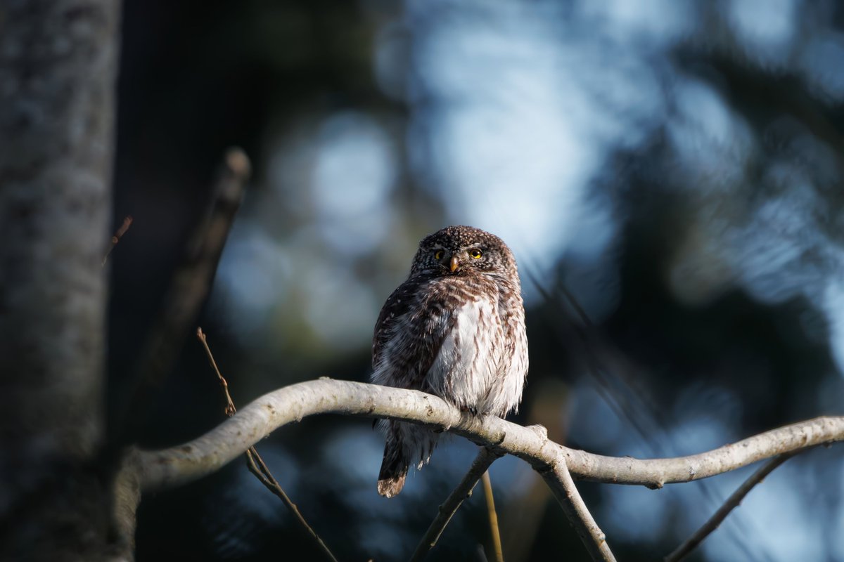 bykaralord's tweet photo. Weekends are a little reminder to slow down, leave the noise of the week behind, and enjoy the simple moments that make life feel lighter. Take some time for yourself, recharge, and make this weekend a good one. https://t.co/CHRtzYCryG