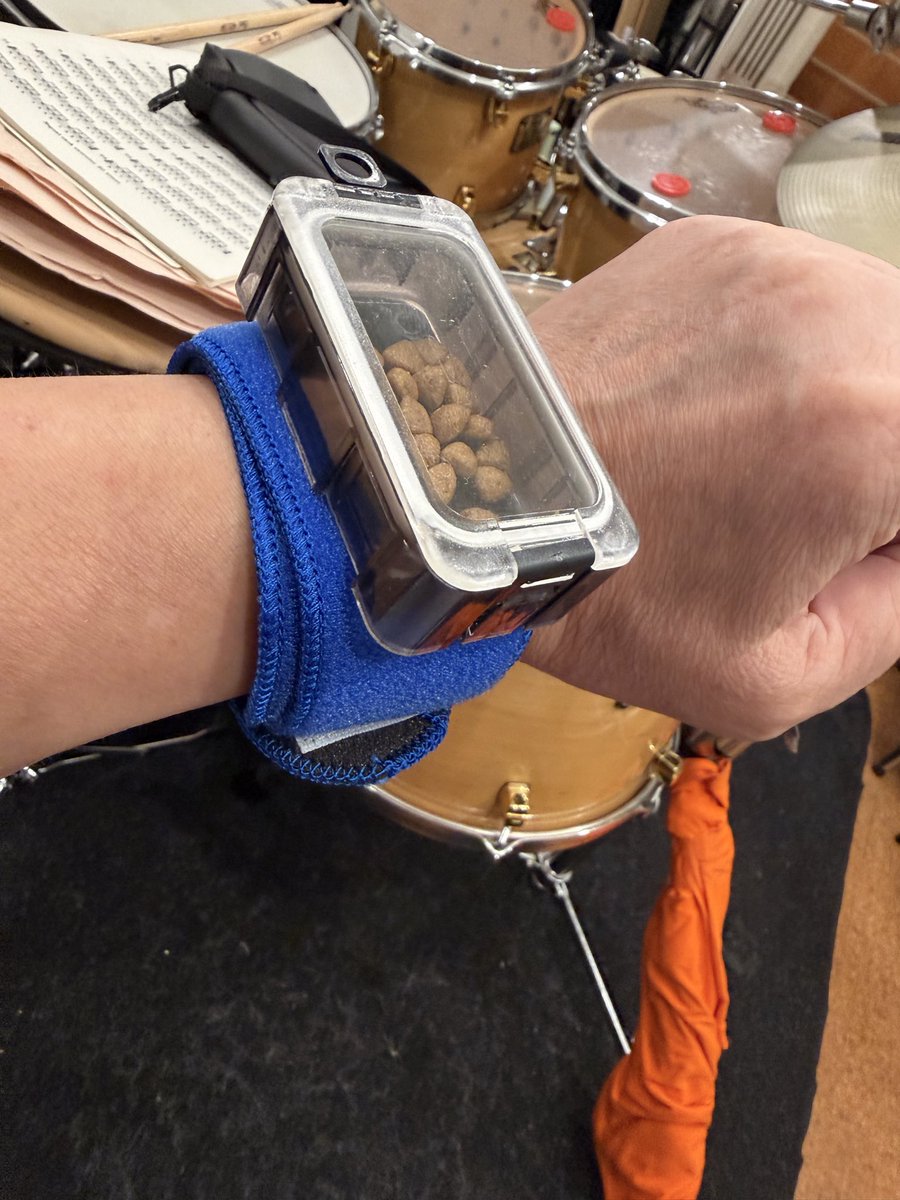 ChihiroFujioka's tweet photo. MNG いつでもどこでもワンコにオヤツがあげられる腕時計型オヤツ格納器(自作)🤭 https://t.co/AC5AjbEGfK
