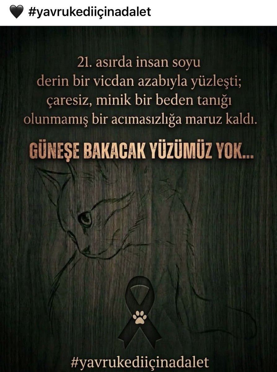 SiminXx's tweet photo. #YavruKediçinAdalet !!!
@adalet_bakanlik @RTErdogan @EmineErdogan @ankaracbs @TC_icisleri @EmniyetGM @TBMMresmi https://t.co/1bRZfWeEFc