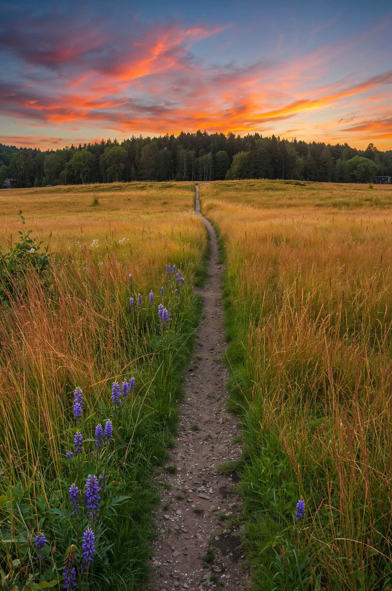worldclick56's tweet photo. Let’s go for a walk… https://t.co/6fV66VAVoP