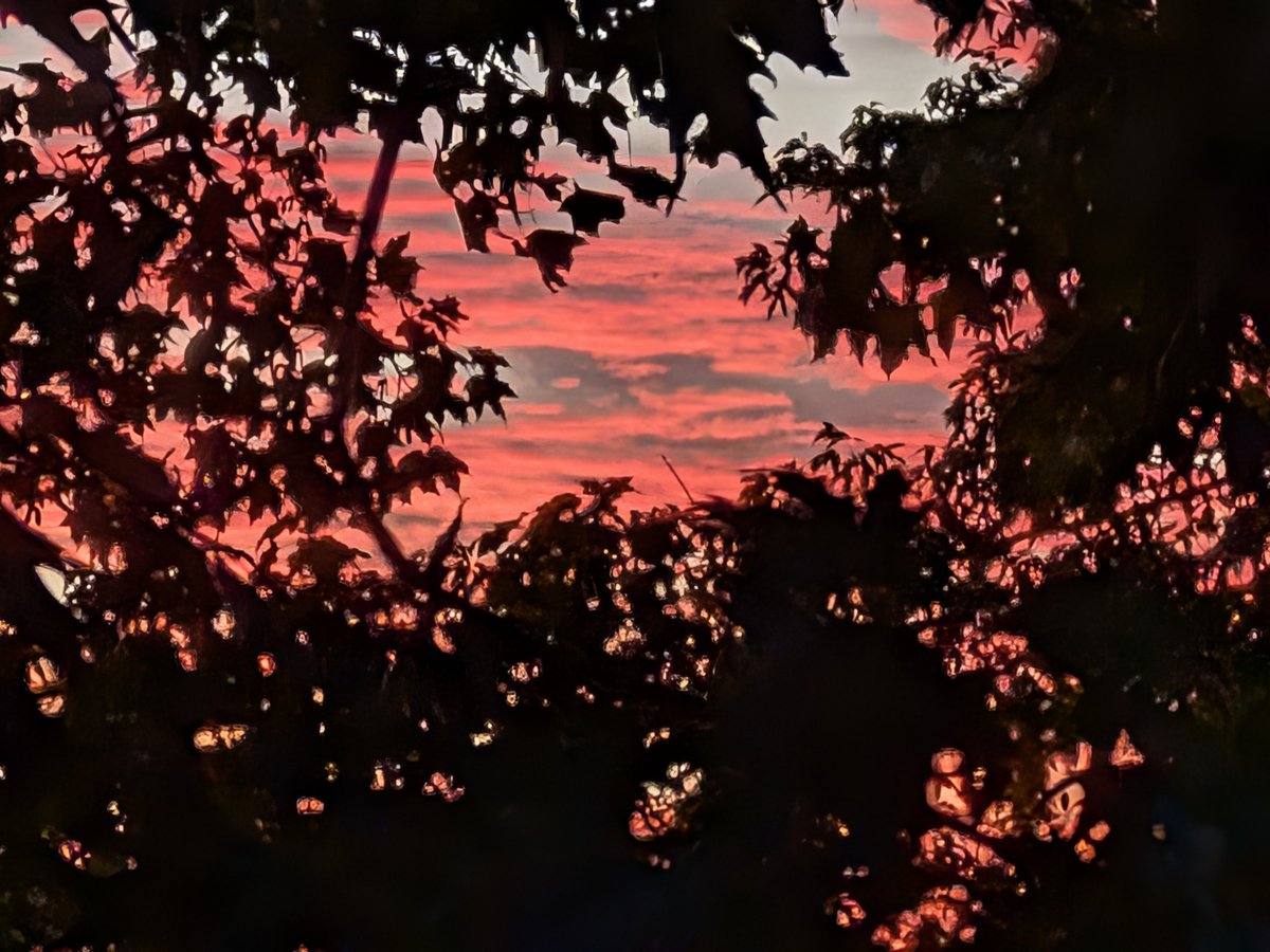 StickyPineGuy's tweet photo. Good morning. 
Happy golden hour / have a great day! https://t.co/CXS81SXXhc