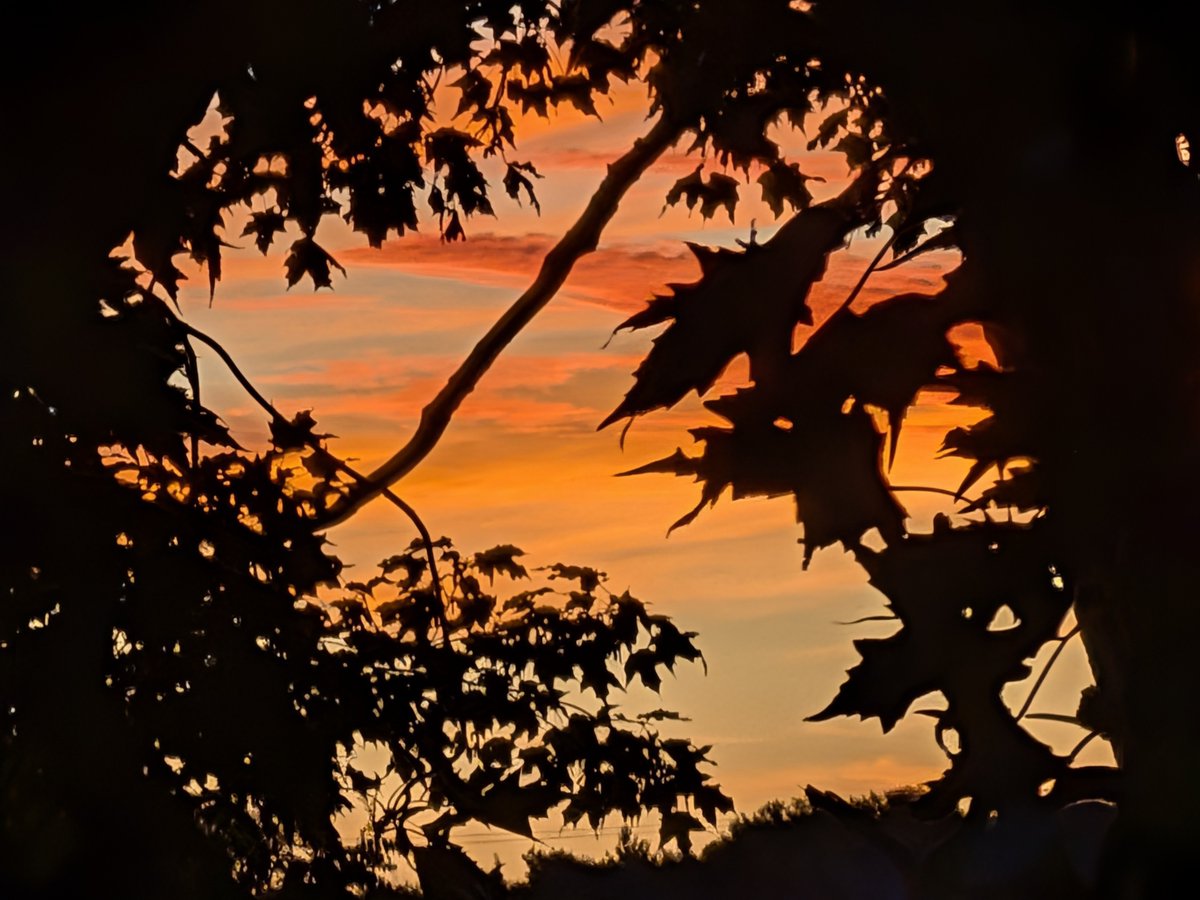 StickyPineGuy's tweet photo. Good morning. 
Happy golden hour / have a great day! https://t.co/CXS81SXXhc