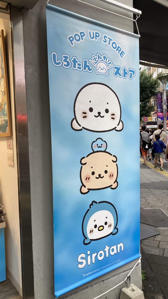 yokkun_game's tweet photo. しろたんやも少しのぞいて来た！
かわゆす🫶🫶 https://t.co/fLRf9GTKRz