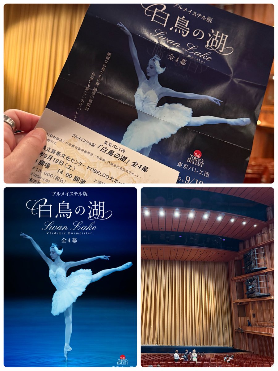 fui_t's tweet photo. 東京バレエ団の白鳥の湖を観てきました。ゲストの永久メイさん素敵でした。もう腕が白鳥やった‼︎ https://t.co/mp9EW5Gg2E