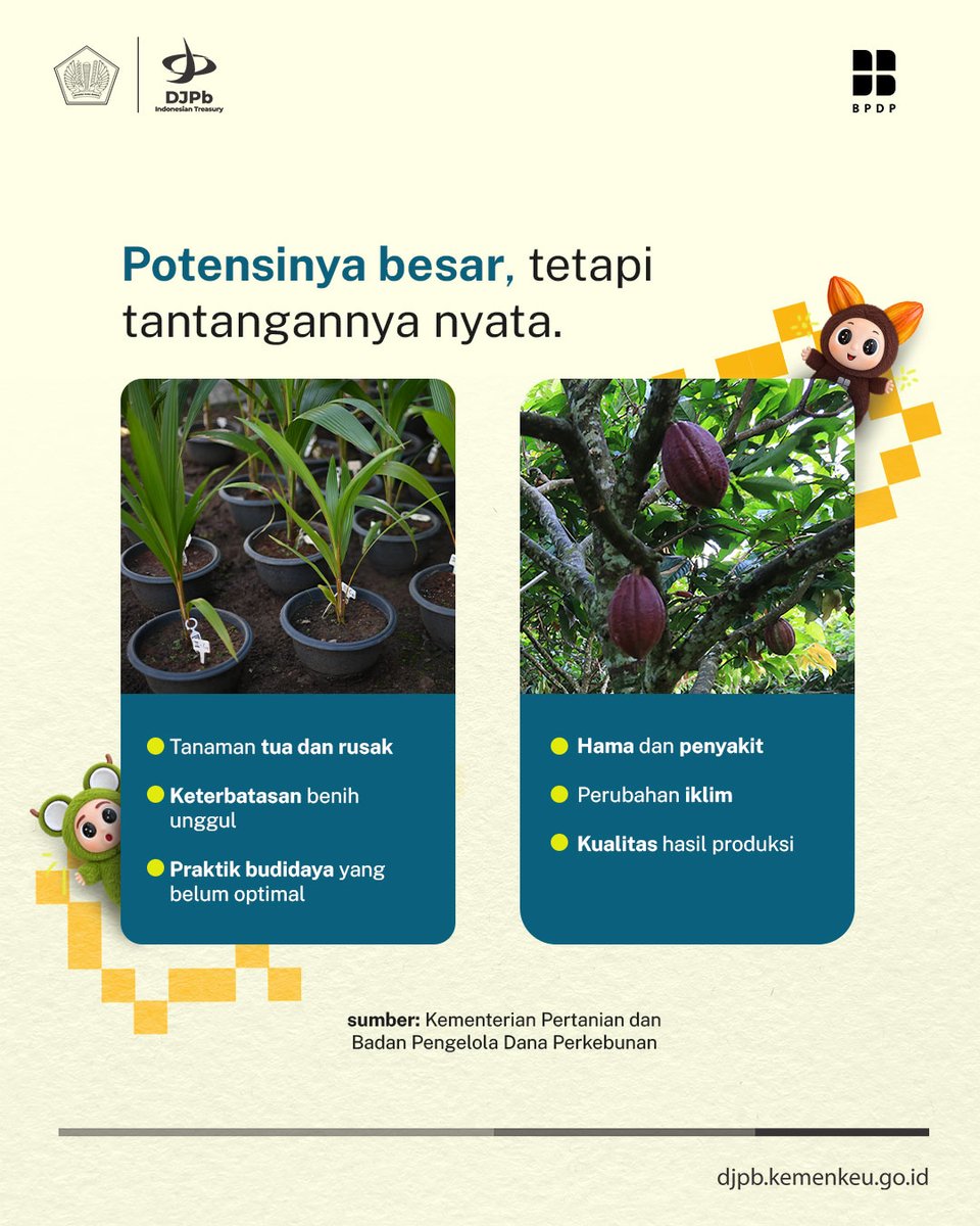 DJPb_Kemenkeu's tweet photo. Potensi tersebut tentu perlu terus ditumbuhkan. Dari peremajaan dan penggunaan benih unggul, dukungan sarana dan prasarana, hingga hilirisasi untuk menciptakan nilai tambah.

Yuk, kenali lebih jauh potensi kakao dan kelapa Indonesia yang didukung #UangKita! https://t.co/EzdHJNNCKC