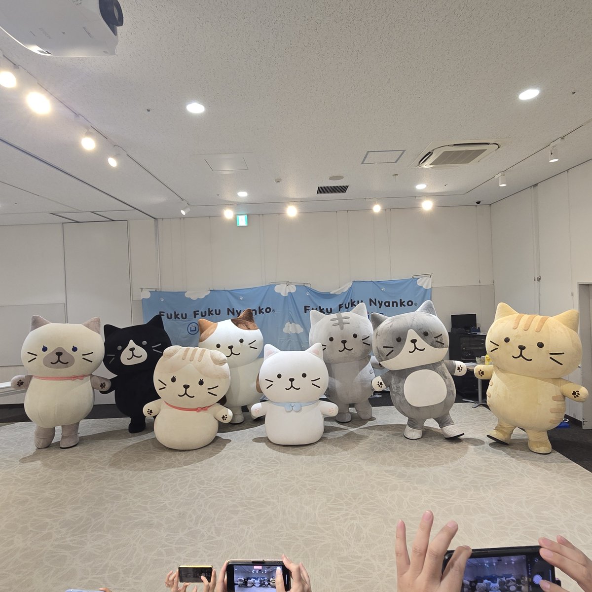 VELGAzero's tweet photo. 取り急ぎ、参加報告！
“イオンモール座間”にて、#ふくふくにゃんこ集会

よもや再び、この光景が拝めようとは…関係者の皆様、夢のような時間をありがとうございました(*´ω`*)
オンラインショップの店長さんと“マシマシ合わせ”で撮影……なんて我儘も聞き入れて戴けて、もうね、良かった(語彙力) https://t.co/XLMBduxtyI