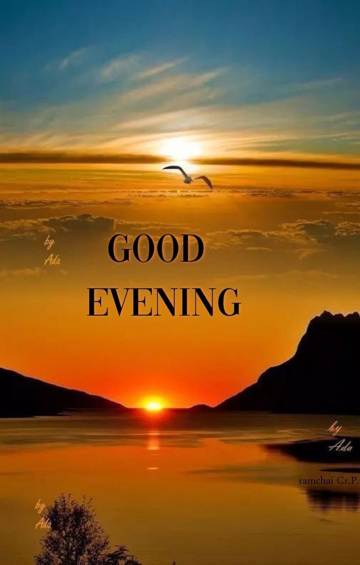 ParwezAliK2265 tweet picture