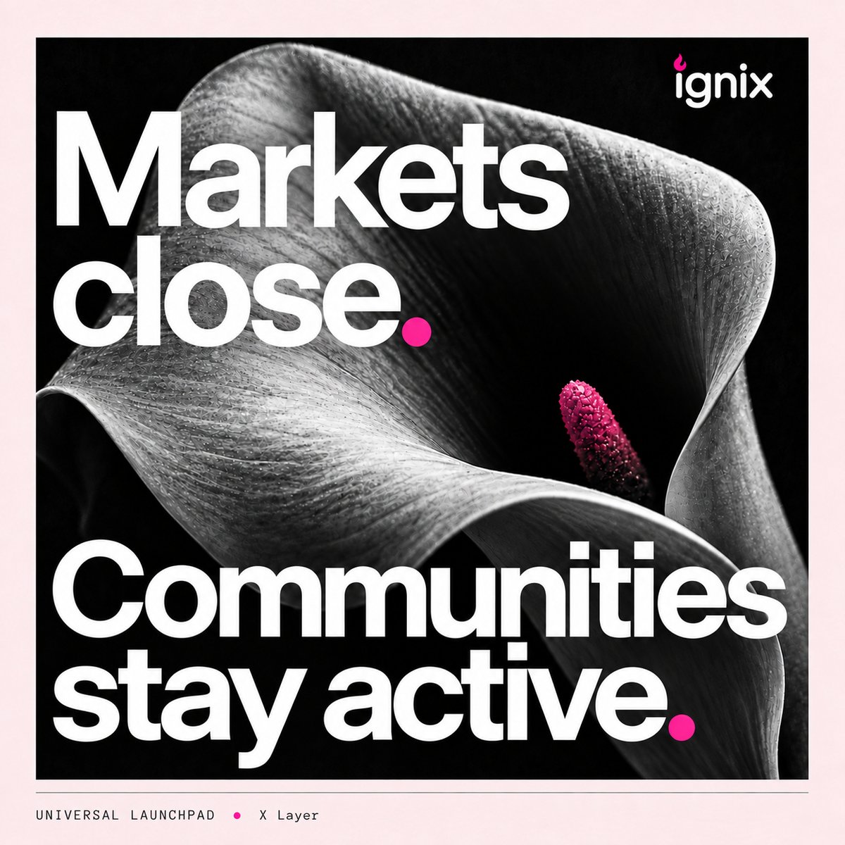 Ignixbot tweet picture